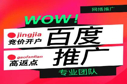 百度推广竞价实战：案例分析与优化策略
